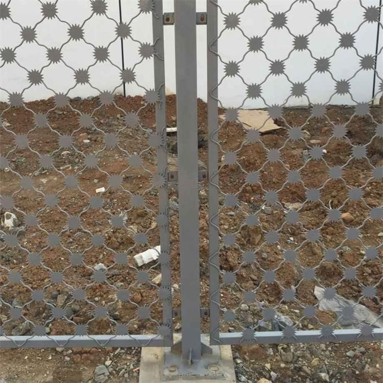 梅花刺隔離網(wǎng)案例展示